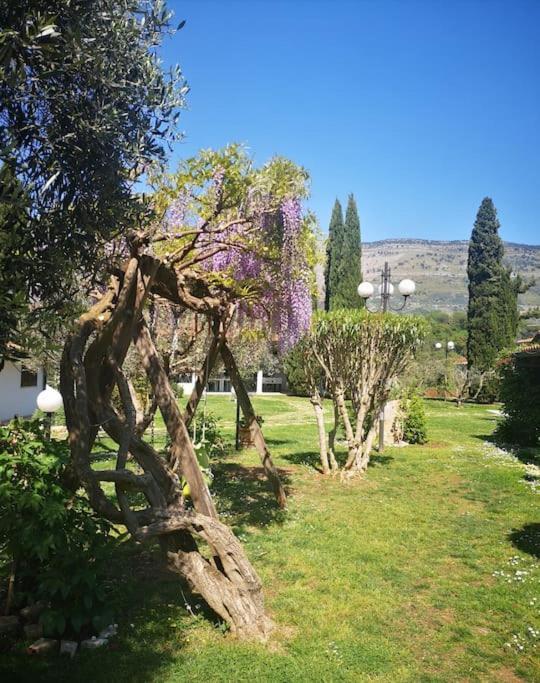 Villetta Blue Garden Sonnino Zewnętrze zdjęcie