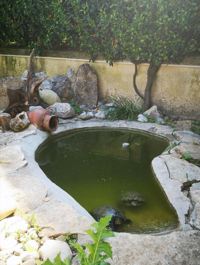 Villetta Blue Garden Sonnino Zewnętrze zdjęcie