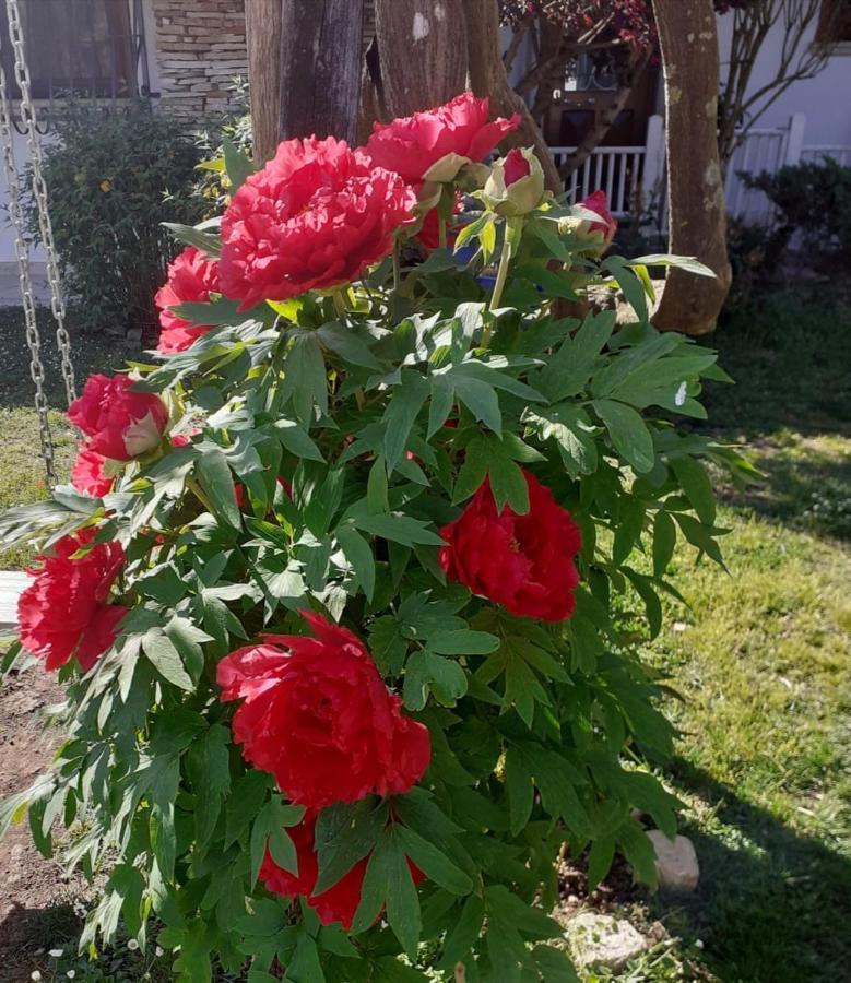 Villetta Blue Garden Sonnino Zewnętrze zdjęcie