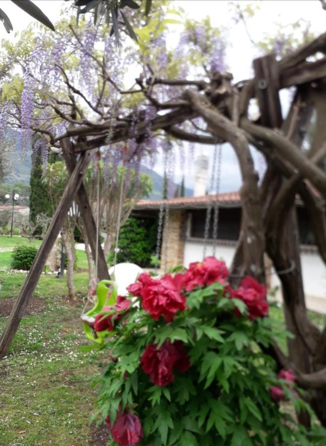Villetta Blue Garden Sonnino Zewnętrze zdjęcie