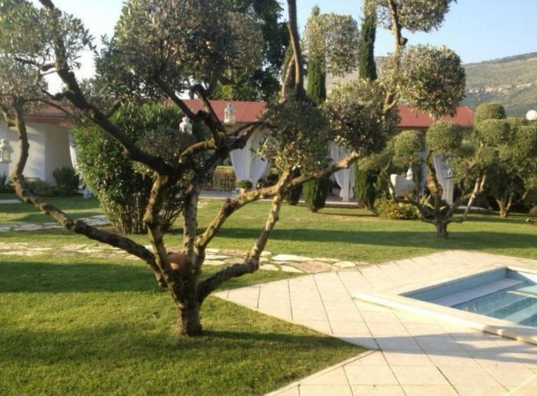 Villetta Blue Garden Sonnino Zewnętrze zdjęcie