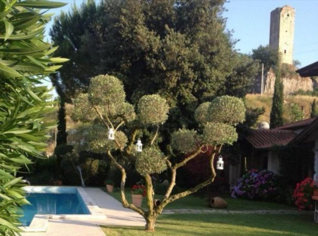 Villetta Blue Garden Sonnino Zewnętrze zdjęcie