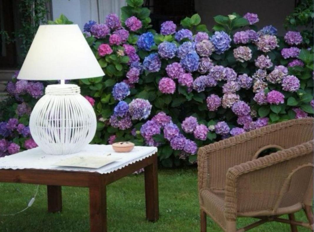Villetta Blue Garden Sonnino Zewnętrze zdjęcie